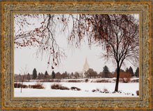 Load image into Gallery viewer, Fall After the Storm
