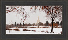 Load image into Gallery viewer, Fall After the Storm
