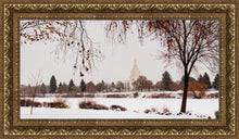 Load image into Gallery viewer, Fall After the Storm
