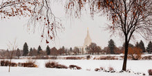 Load image into Gallery viewer, Fall After the Storm
