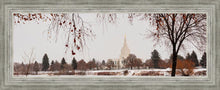 Load image into Gallery viewer, Fall After the Storm
