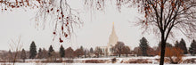 Load image into Gallery viewer, Fall After the Storm
