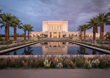 Load image into Gallery viewer, Mesa Arizona Summer Nights Dream
