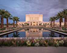 Load image into Gallery viewer, Mesa Arizona Summer Nights Dream

