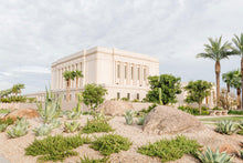 Load image into Gallery viewer, Mesa Arizona He is light
