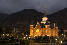 Load image into Gallery viewer, Provo City Center at Night
