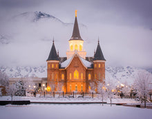 Load image into Gallery viewer, Provo CC - Cold Winter Night
