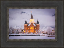 Load image into Gallery viewer, Provo CC - Cold Winter Night
