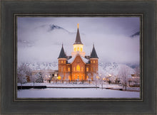 Load image into Gallery viewer, Provo CC - Cold Winter Night
