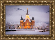 Load image into Gallery viewer, Provo CC - Cold Winter Night
