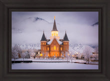 Load image into Gallery viewer, Provo CC - Cold Winter Night
