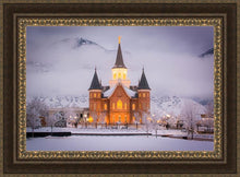 Load image into Gallery viewer, Provo CC - Cold Winter Night
