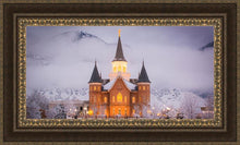 Load image into Gallery viewer, Provo CC - Cold Winter Night
