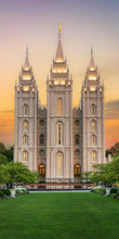 Load image into Gallery viewer, Salt Lake Morning Glow
