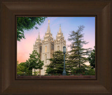 Load image into Gallery viewer, Salt Lake Soft Summer Sunrise
