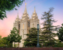 Load image into Gallery viewer, Salt Lake Soft Summer Sunrise
