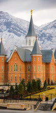 Load image into Gallery viewer, Provo City Center Temple - Snowy Mountains
