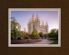Load image into Gallery viewer, Salt Lake Evening Lights
