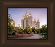 Load image into Gallery viewer, Salt Lake Evening Lights

