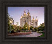Load image into Gallery viewer, Salt Lake Evening Lights
