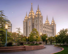 Load image into Gallery viewer, Salt Lake Evening Lights
