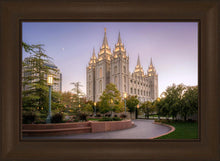 Load image into Gallery viewer, Salt Lake Evening Lights
