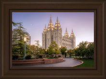 Load image into Gallery viewer, Salt Lake Evening Lights
