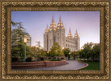 Load image into Gallery viewer, Salt Lake Evening Lights
