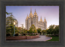 Load image into Gallery viewer, Salt Lake Evening Lights

