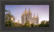 Load image into Gallery viewer, Salt Lake Evening Lights
