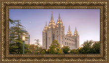 Load image into Gallery viewer, Salt Lake Evening Lights
