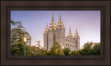 Load image into Gallery viewer, Salt Lake Evening Lights
