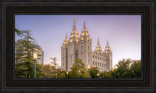 Load image into Gallery viewer, Salt Lake Evening Lights
