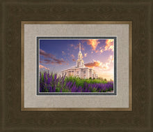 Load image into Gallery viewer, Payson Temple Blooming Lavender
