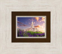 Load image into Gallery viewer, Payson Temple Blooming Lavender
