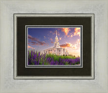 Load image into Gallery viewer, Payson Temple Blooming Lavender
