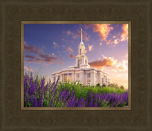 Load image into Gallery viewer, Payson Temple Blooming Lavender
