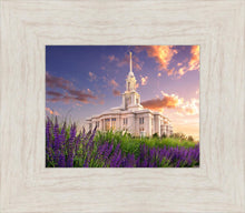 Load image into Gallery viewer, Payson Temple Blooming Lavender
