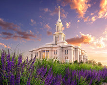 Load image into Gallery viewer, Payson Temple Blooming Lavender
