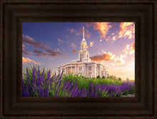 Load image into Gallery viewer, Payson Temple Blooming Lavender
