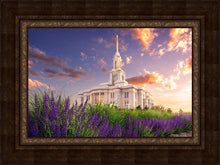 Load image into Gallery viewer, Payson Temple Blooming Lavender
