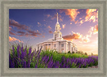 Load image into Gallery viewer, Payson Temple Blooming Lavender

