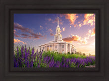 Load image into Gallery viewer, Payson Temple Blooming Lavender

