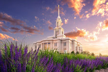 Load image into Gallery viewer, Payson Temple Blooming Lavender
