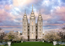 Load image into Gallery viewer, Salt Lake a Glimpse of Heaven
