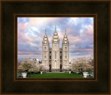Load image into Gallery viewer, Salt Lake a Glimpse of Heaven
