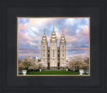 Load image into Gallery viewer, Salt Lake a Glimpse of Heaven
