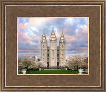 Load image into Gallery viewer, Salt Lake a Glimpse of Heaven
