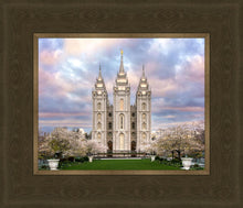 Load image into Gallery viewer, Salt Lake a Glimpse of Heaven
