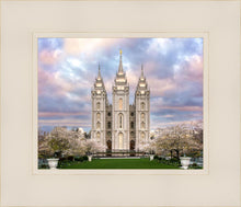 Load image into Gallery viewer, Salt Lake a Glimpse of Heaven
